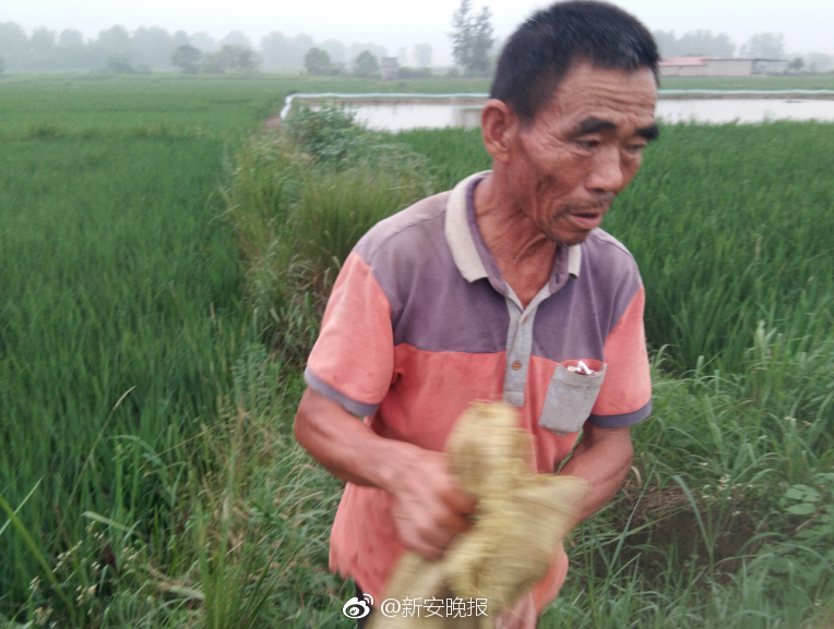 Thymesia记忆边境花园地下实验室钥匙在哪里