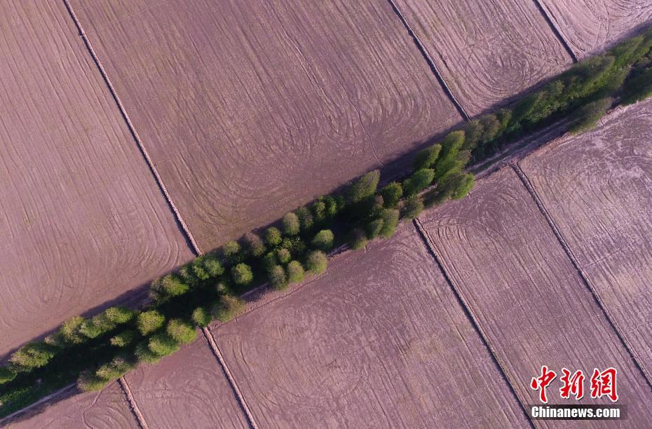 艾尔登法环灵马坐骑具体有什么用
