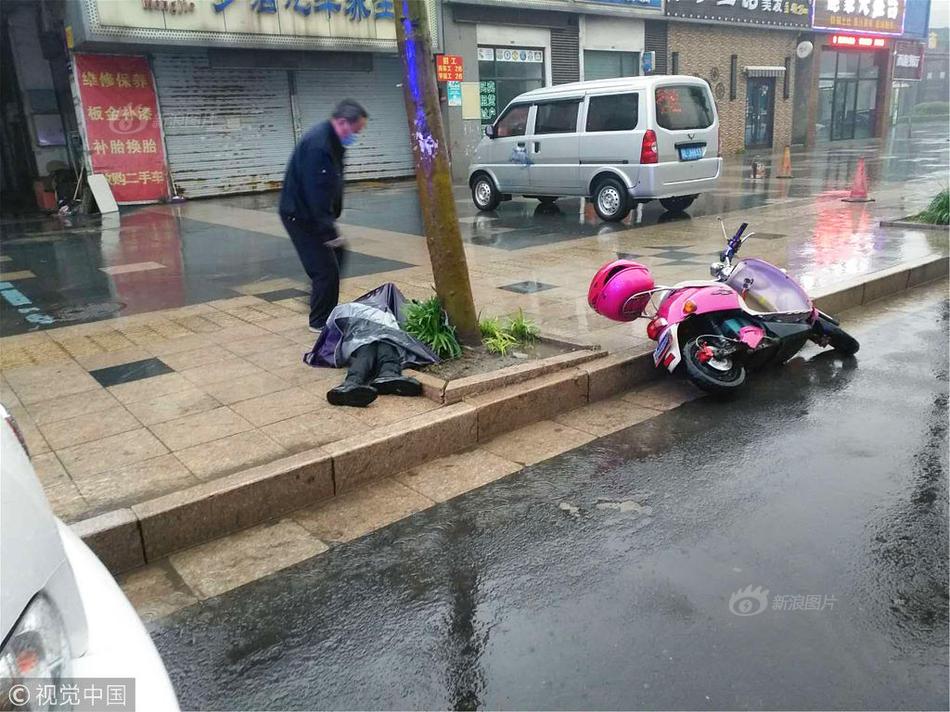 泰拉瑞亚有什么职业