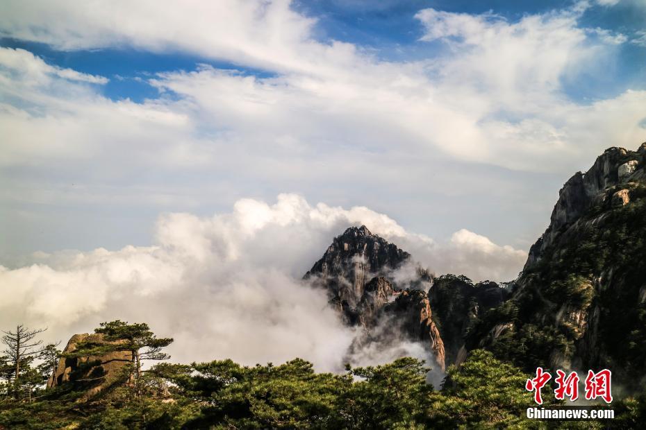 艾尔登法环回归性原理奇迹怎么获得