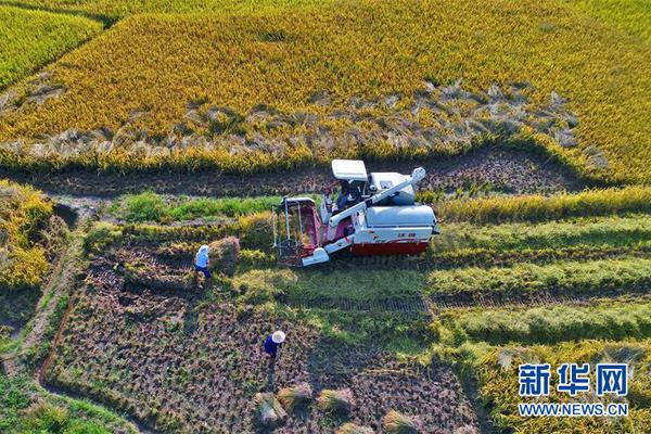 符文工厂5抓怪技能为什么用不出来