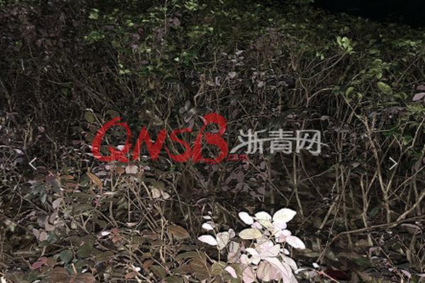 空洞骑士苦痛荆棘怎么获得